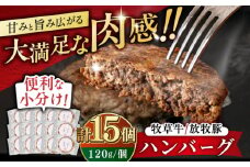 【牧草牛×放牧豚】ハンバーグ 15個 《厚真町》【GOODGOOD株式会社】 ハンバーグ 牛肉 豚肉 ジビエ 小分け 冷凍配送 北海道 [AXBP008]