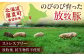 訳あり ボロニアソーセージ ウインナー 冷凍配送 セット 詰合せ 北海道