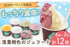 very motch 米粉のジェラート6種×2セット 《厚真町》【株式会社クーバル】ジェラート アイス セット アソート 食べ比べ 米粉 詰め合わせ スイーツ ギフト 北海道 19000 19000円 [AXBQ007]