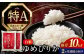 米 お米 白米 ゆめぴりか ブランド米 特A ご飯 10kg 北海道 定期便