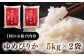 米 お米 白米 ゆめぴりか ブランド米 特A ご飯 10kg 北海道 定期便