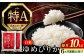 米 お米 白米 ゆめぴりか ブランド米 特A ご飯 10kg 北海道 定期便
