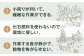 薪 まき 薪ストーブ ストーブ キャンプ 北海道 定期便