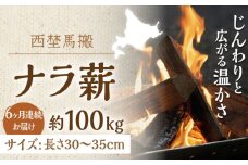 【全6回定期便】北海道 乾燥 ナラ薪 100kg（20kg×5箱）計 600kg 《厚真町》【西埜馬搬】 薪 まき 薪ストーブ 暖炉 木材 燃料 ストーブ キャンプ 北海道 定期便 [AXBE008]