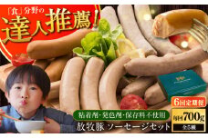 【全6回定期便】【結着剤・発色剤・保存料不使用】 放牧豚 ソーセージセット（ソーセージ5種）《厚真町》【ファーマーズファクトリー株式会社】 ソーセージ ウインナー チョリソー 粗挽き 冷凍配送 セット 詰め合わせ 北海道[AXBA024]