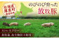 ハム ベーコン モモ 豚肉 ブロック