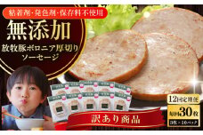 【全12回定期便】【訳あり】【結着剤・発色剤・保存料不使用】 放牧豚 ボロニア厚切りスライスソーセージ 3枚x10セット（130g/パック）《厚真町》【ファーマーズファクトリー株式会社】 訳あり ソーセージ ウインナー 冷凍配送 セット 詰合せ 北海道[AXBA081]