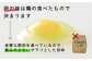 たまご 卵 鶏卵 玉子 生卵 平飼い 北海道 定期便