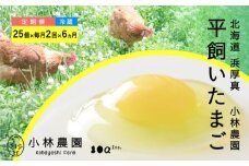【月2回・全12回定期便】【冷蔵配送】こだわりの無投薬･平飼い有精卵 25個《厚真町》【テンアール株式会社】 たまご 卵 鶏卵 玉子 生卵 平飼い 北海道 定期便 [AXAN027]