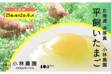 【月2回・全12回定期便】【常温配送】こだわりの無投薬･平飼い有精卵 25個《厚真町》【テンアール株式会社】 たまご 卵 鶏卵 玉子 生卵 平飼い 北海道 定期便 [AXAN039]