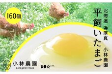 【常温配送】こだわりの無投薬･平飼い有精卵 160個《厚真町》【テンアール株式会社】 たまご 卵 鶏卵 玉子 生卵 平飼い 北海道 定期便  [AXAN124]