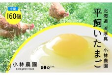 【冷蔵配送】こだわりの無投薬･平飼い有精卵 160個《厚真町》【テンアール株式会社】 たまご 卵 鶏卵 玉子 生卵 平飼い 北海道 定期便  [AXAN034]