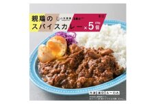 【全6回定期便】親鶏のスパイスカレー 5個（辛口）《厚真町》【テンアール株式会社】 カレー スパイスカレー 辛口 鶏 鶏肉 平飼い 冷凍配送 北海道 [AXAN087]