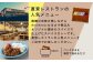 カレー スパイスカレー 辛口 鶏 鶏肉 平飼い 冷凍配送 北海道