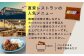 カレー スパイスカレー 辛口 鶏 鶏肉 平飼い 冷凍配送 北海道