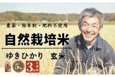 【全3回定期便】　【玄米】自然栽培米 角田玄米 ゆきひかり 5kg 《厚真町》 【カクタファーム】 米 お米 玄米 ゆきひかり ご飯 北海道 [AXAR007]