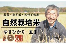 【全6回定期便】　【玄米】自然栽培米 角田玄米 ゆきひかり 5kg 《厚真町》 【カクタファーム】 米 お米 玄米 ゆきひかり ご飯 北海道 [AXAR008]