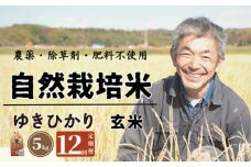 【全12回定期便】　【玄米】自然栽培米 角田玄米 ゆきひかり 5kg 《厚真町》 【カクタファーム】 米 お米 玄米 ゆきひかり ご飯 北海道 [AXAR009]