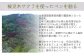 ボールペン ペン 文房具 木製 日用品 雑貨 北海道