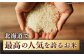 米 お米 白米 ななつぼし ブランド米 特A ご飯 10kg 北海道