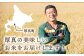 米 お米 白米 ゆめぴりか ブランド米 特A ご飯 5kg 北海道
