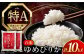 米 お米 白米 ゆめぴりか ブランド米 特A ご飯 10kg 北海道