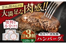 【牧草牛×放牧豚】ハンバーグ 3個 《厚真町》【GOODGOOD株式会社】 ハンバーグ 牛肉 豚肉 ジビエ 小分け 冷凍配送 北海道 [AXBP013]