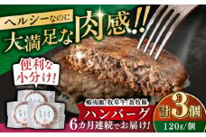 【全6回定期便】 【蝦夷鹿×牧草牛×放牧豚】ハンバーグ 3個 《厚真町》【GOODGOOD株式会社】 ハンバーグ 鹿肉 牛肉 豚肉 ジビエ 小分け 冷凍配送 北海道 [AXBP016]
