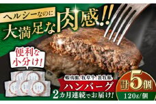【全2回定期便】【蝦夷鹿×牧草牛×放牧豚】ハンバーグ 5個 《厚真町》【GOODGOOD株式会社】 ハンバーグ 鹿肉 牛肉 豚肉 ジビエ 小分け 冷凍配送 北海道 [AXBP018]