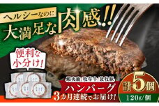 【全3回定期便】【蝦夷鹿×牧草牛×放牧豚】ハンバーグ 5個 《厚真町》【GOODGOOD株式会社】 ハンバーグ 鹿肉 牛肉 豚肉 ジビエ 小分け 冷凍配送 北海道 [AXBP019]