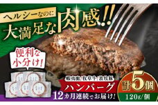 【全12回定期便】【蝦夷鹿×牧草牛×放牧豚】ハンバーグ 5個 《厚真町》【GOODGOOD株式会社】 ハンバーグ 鹿肉 牛肉 豚肉 ジビエ 小分け 冷凍配送 北海道 [AXBP021]