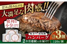 【全2回定期便】　【牧草牛×放牧豚】ハンバーグ 3個 《厚真町》【GOODGOOD株式会社】 ハンバーグ 牛肉 豚肉 合い挽き 小分け 冷凍配送 北海道 [AXBP022]