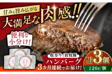 【全3回定期便】　【牧草牛×放牧豚】ハンバーグ 3個 《厚真町》【GOODGOOD株式会社】 ハンバーグ 牛肉 豚肉 合い挽き 小分け 冷凍配送 北海道 [AXBP023]