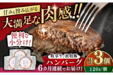 【全6回定期便】　【牧草牛×放牧豚】ハンバーグ 3個 《厚真町》【GOODGOOD株式会社】 ハンバーグ 牛肉 豚肉 合い挽きジビエ 小分け 冷凍配送 北海道 [AXBP024]