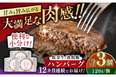 【全12回定期便】　【牧草牛×放牧豚】ハンバーグ 3個 《厚真町》【GOODGOOD株式会社】ハンバーグ 牛肉 豚肉 合い挽き ジビエ 小分け 冷凍配送 北海道 [AXBP025]