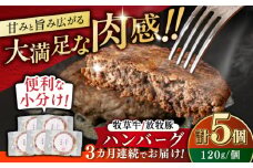 【全3回定期便】　【牧草牛×放牧豚】ハンバーグ 5個 《厚真町》【GOODGOOD株式会社】ハンバーグ 牛肉 豚肉 合い挽き 小分け 冷凍配送 北海道 [AXBP027]