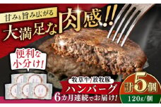 【全6回定期便】　【牧草牛×放牧豚】ハンバーグ 5個 《厚真町》【GOODGOOD株式会社】ハンバーグ 牛肉 豚肉 合い挽き 小分け 冷凍配送 北海道 [AXBP028]