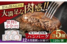 【全12回定期便】　【牧草牛×放牧豚】ハンバーグ 5個 《厚真町》【GOODGOOD株式会社】ハンバーグ 牛肉 豚肉 合い挽き 小分け 冷凍配送 北海道 [AXBP029]