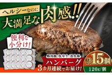 【全3回定期便】【蝦夷鹿×牧草牛×放牧豚】ハンバーグ 15個《厚真町》【GOODGOOD株式会社】 ハンバーグ 鹿肉 牛肉 豚肉 ジビエ 小分け 冷凍配送 北海道 [AXBP035]
