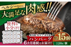 【全6回定期便】【蝦夷鹿×牧草牛×放牧豚】ハンバーグ 15個《厚真町》【GOODGOOD株式会社】 ハンバーグ 鹿肉 牛肉 豚肉 ジビエ 小分け 冷凍配送 北海道 [AXBP036]