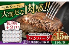 【全12回定期便】【蝦夷鹿×牧草牛×放牧豚】ハンバーグ 15個《厚真町》【GOODGOOD株式会社】 ハンバーグ 鹿肉 牛肉 豚肉 ジビエ 小分け 冷凍配送 北海道 [AXBP037]