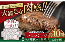 【全2回定期便】【牧草牛×放牧豚】ハンバーグ 10個《厚真町》【GOODGOOD株式会社】 ハンバーグ 牛肉 豚肉 ジビエ 小分け 冷凍配送 北海道 [AXBP038]