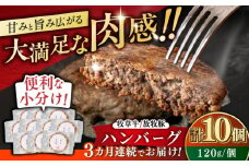 【全3回定期便】【牧草牛×放牧豚】ハンバーグ 10個《厚真町》【GOODGOOD株式会社】 ハンバーグ 牛肉 豚肉 ジビエ 小分け 冷凍配送 北海道 [AXBP039]