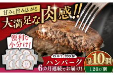 【全6回定期便】【牧草牛×放牧豚】ハンバーグ 10個《厚真町》【GOODGOOD株式会社】 ハンバーグ 牛肉 豚肉 ジビエ 小分け 冷凍配送 北海道 [AXBP040]