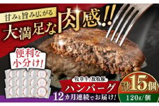 【全12回定期便】【牧草牛×放牧豚】ハンバーグ 15個 《厚真町》【GOODGOOD株式会社】 ハンバーグ 牛肉 豚肉 ジビエ 小分け 冷凍配送 北海道 [AXBP045]