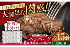 【全6回定期便】【牧草牛×放牧豚】ハンバーグ 15個 《厚真町》【GOODGOOD株式会社】 ハンバーグ 牛肉 豚肉 ジビエ 小分け 冷凍配送 北海道 [AXBP044]