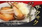 豚肉 とんかつ 豚カツ 精肉 冷凍配送 北海道 定期便
