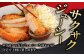 豚肉 とんかつ 豚カツ 精肉 冷凍配送 北海道 定期便
