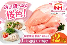 【全3回定期便】桜姫 鶏むね肉 2kg《厚真町》【東日本フード株式会社】 桜姫 国産鶏肉 鶏肉 鶏 とり肉 ムネ むね肉 鶏むね肉 冷凍 北海道 [AXBM003]