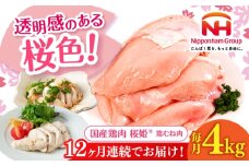 【全12回定期便】桜姫 鶏むね肉 計4kg（2kg×2パック）《厚真町》【東日本フード株式会社】 桜姫 国産鶏肉 鶏肉 鶏 とり肉 ムネ むね肉 鶏むね肉 冷凍 北海道 [AXBM012]